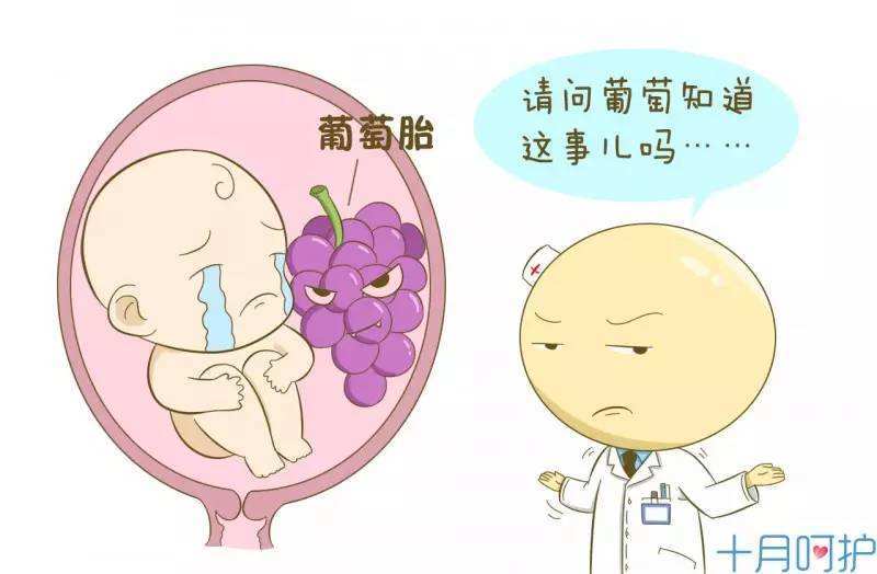 葡萄胎.jpg