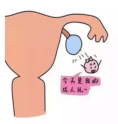 微信图片_20180829174016.jpg