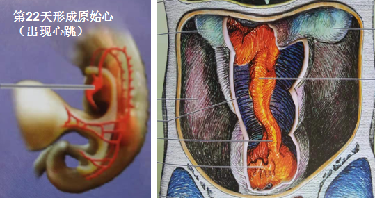 360截图1642103172102111.png