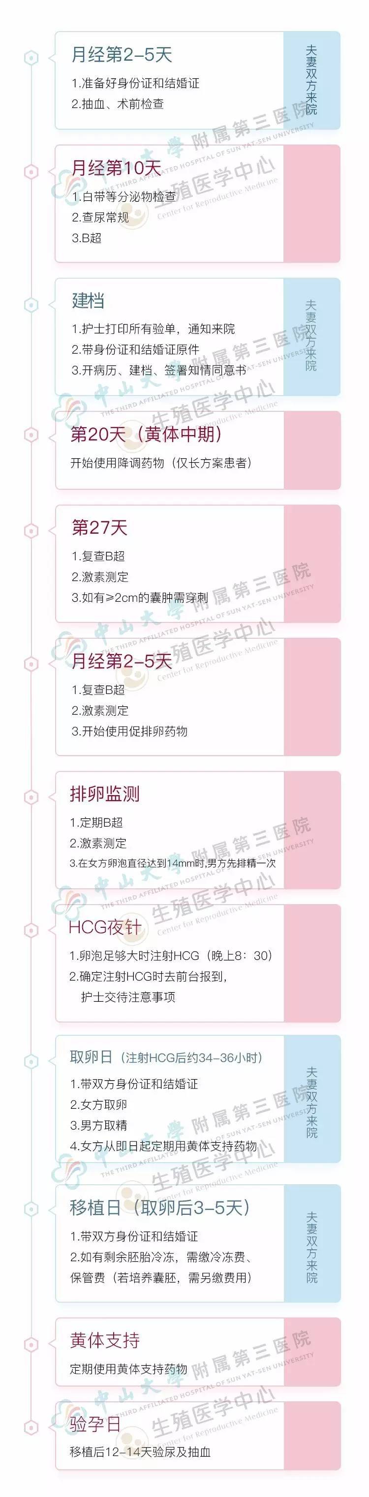 中山三院试管流程.jpg