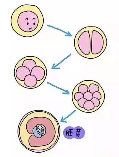 微信图片_20180829174037.jpg