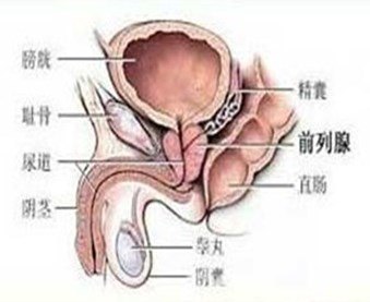 360截图20170721053049629_副本_副本.jpg