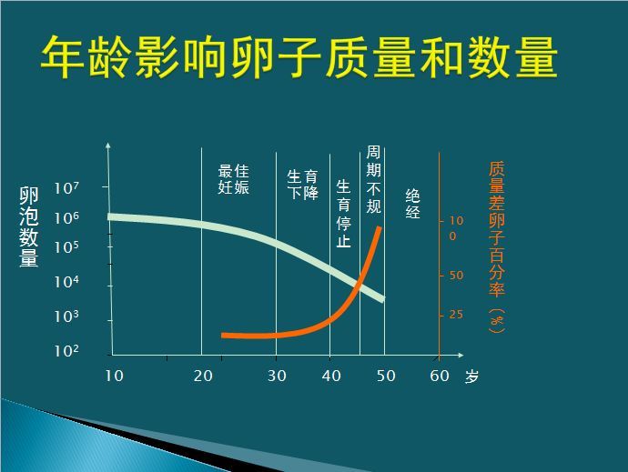 年龄，IVF1.jpg