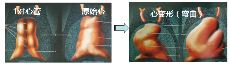 360截图16190819292516.png