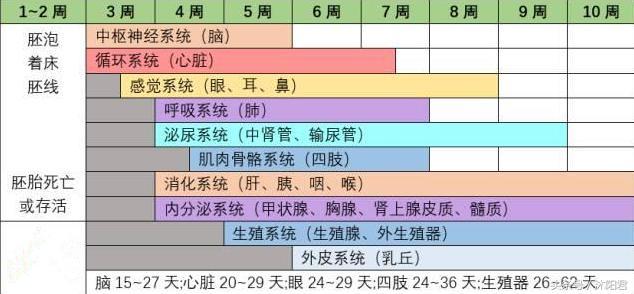 1af6000410a5ce06a7f5.jpg