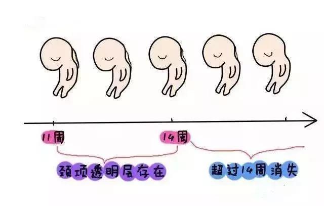 微信图片_20181020145026.jpg