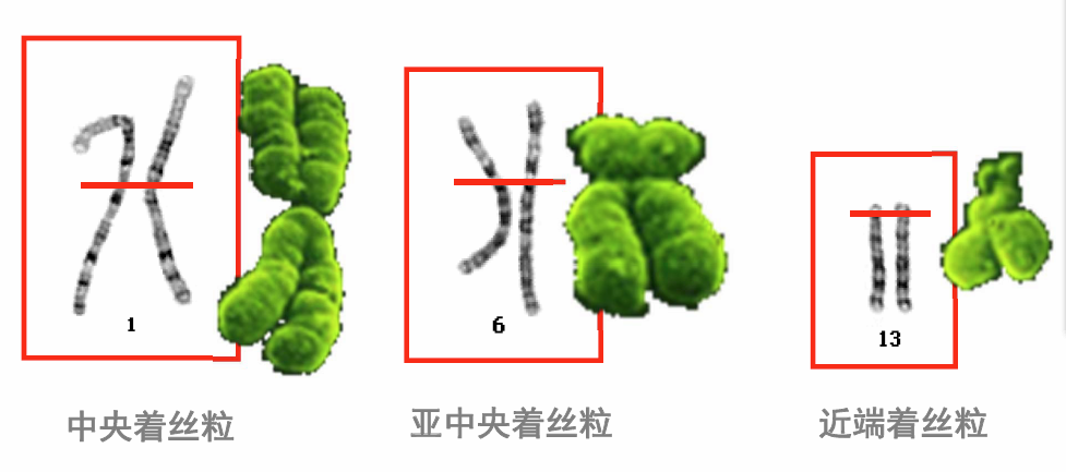 image005.png