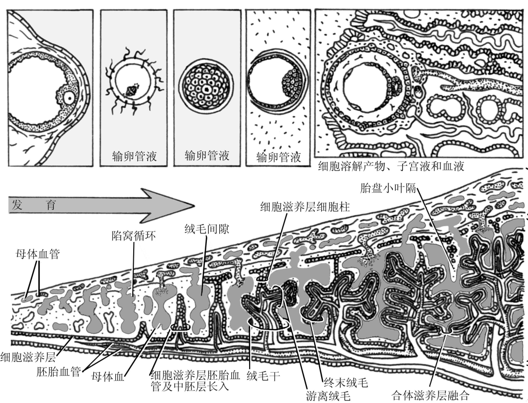 360截图16560316274734.png