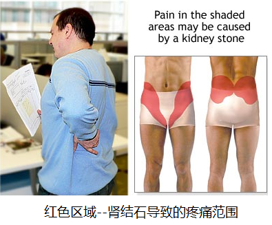 搜狗截图17年11月04日1733_1.png