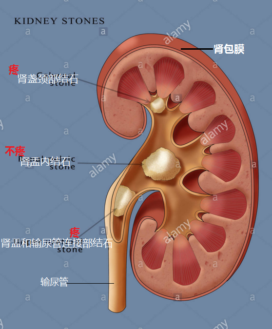 搜狗截图17年10月19日2133_7.png