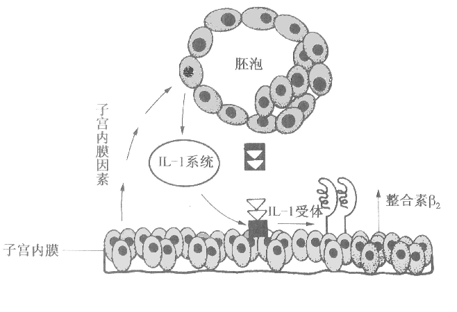 分子对话.png