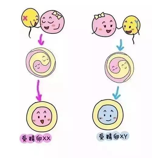 微信图片_20180829174051.jpg