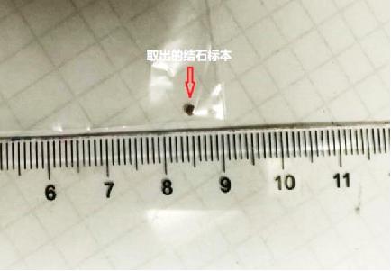 file0004.jpg