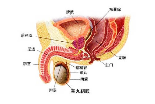 2636_160802123409_1.png
