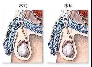 微信图片_20181121140934.jpg
