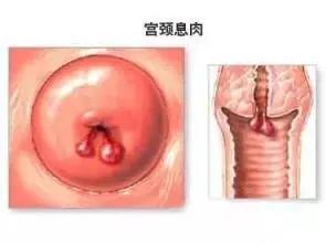 微信图片_20181011104402.jpg