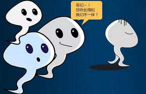 5-畸形精子.jpg