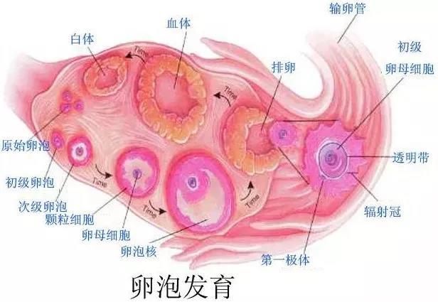 微信图片_20181106172219.jpg