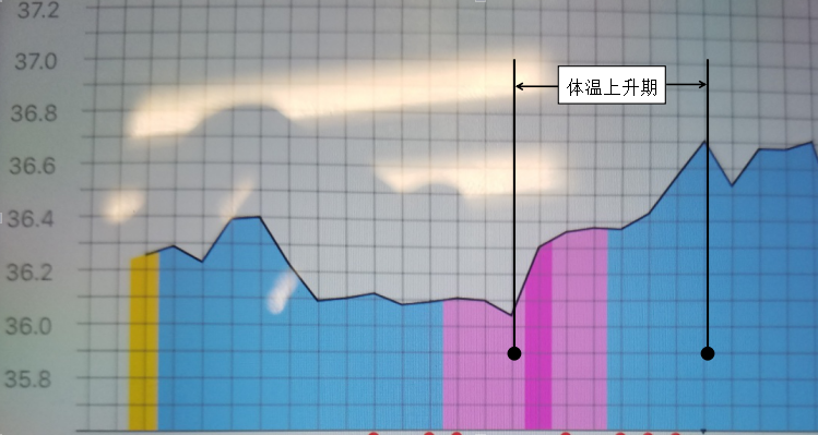 图片18.png