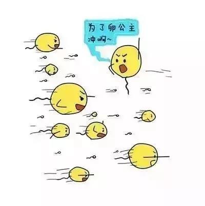 微信图片_20180829174025 - 副本 - 副本.jpg