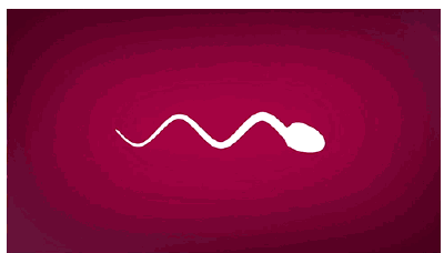 blob.png