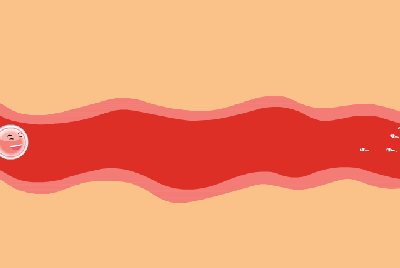 12.gif