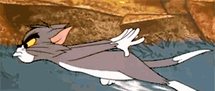 01.gif