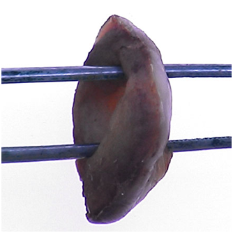 blob.png