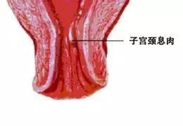 微信图片_20181011104357.jpg