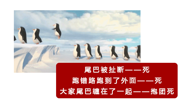 03.gif