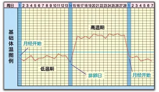 微信图片_20170803083938.jpg