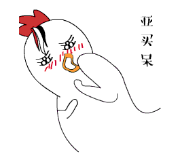 blob.png