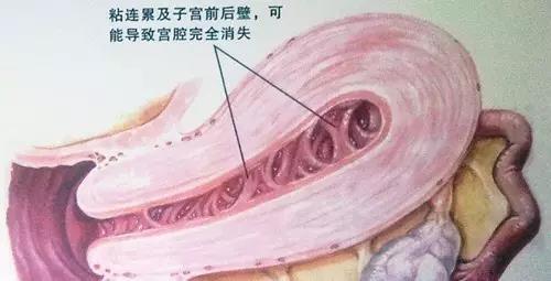 微信图片_20181011102545.jpg