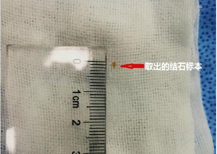 file0005.jpg