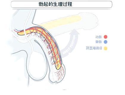 u=2050772662,1732975244&fm=23&gp=0.jpg