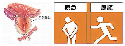 图片24.png