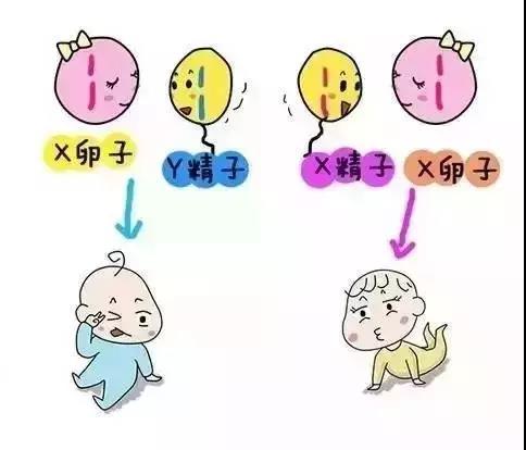 微信图片_20180829174058.jpg