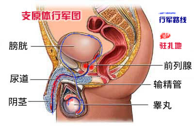 50404083_副本.jpg