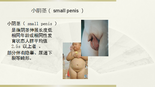 微信图片_20181107102214.png
