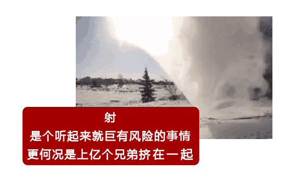 02.gif