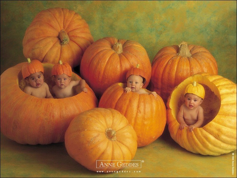 photograph_anne_geddes_1249_m.jpg