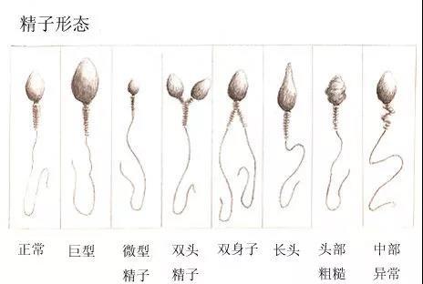 微信图片_20181219161203.jpg