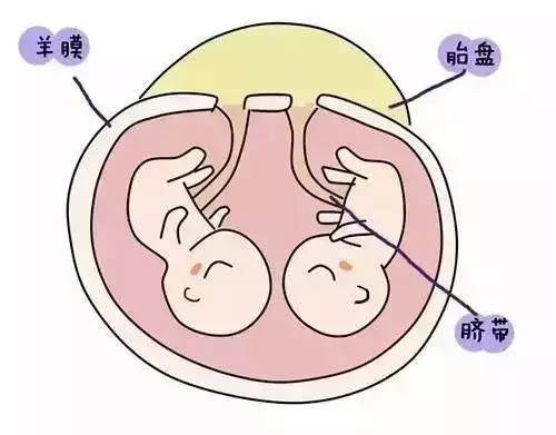 微信图片_20180829174114 - 副本.jpg