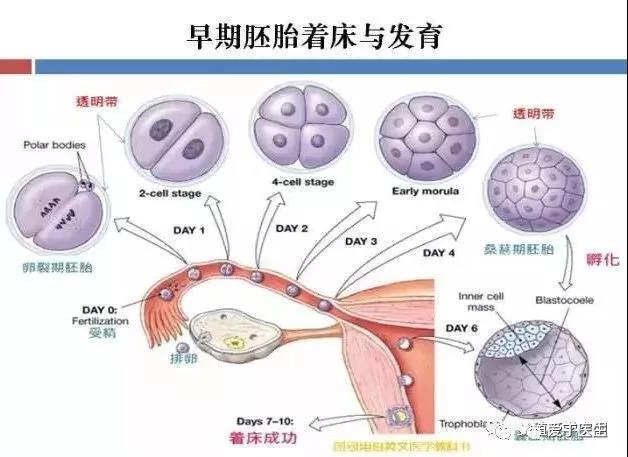 微信图片_20181227111006.jpg