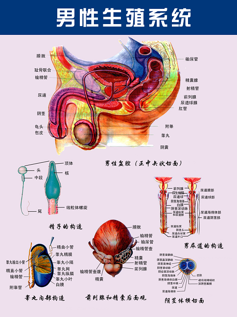 IMG_7335.PNG