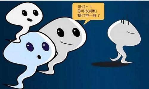 u=486026504,3730989196&fm=27&gp=0.jpg