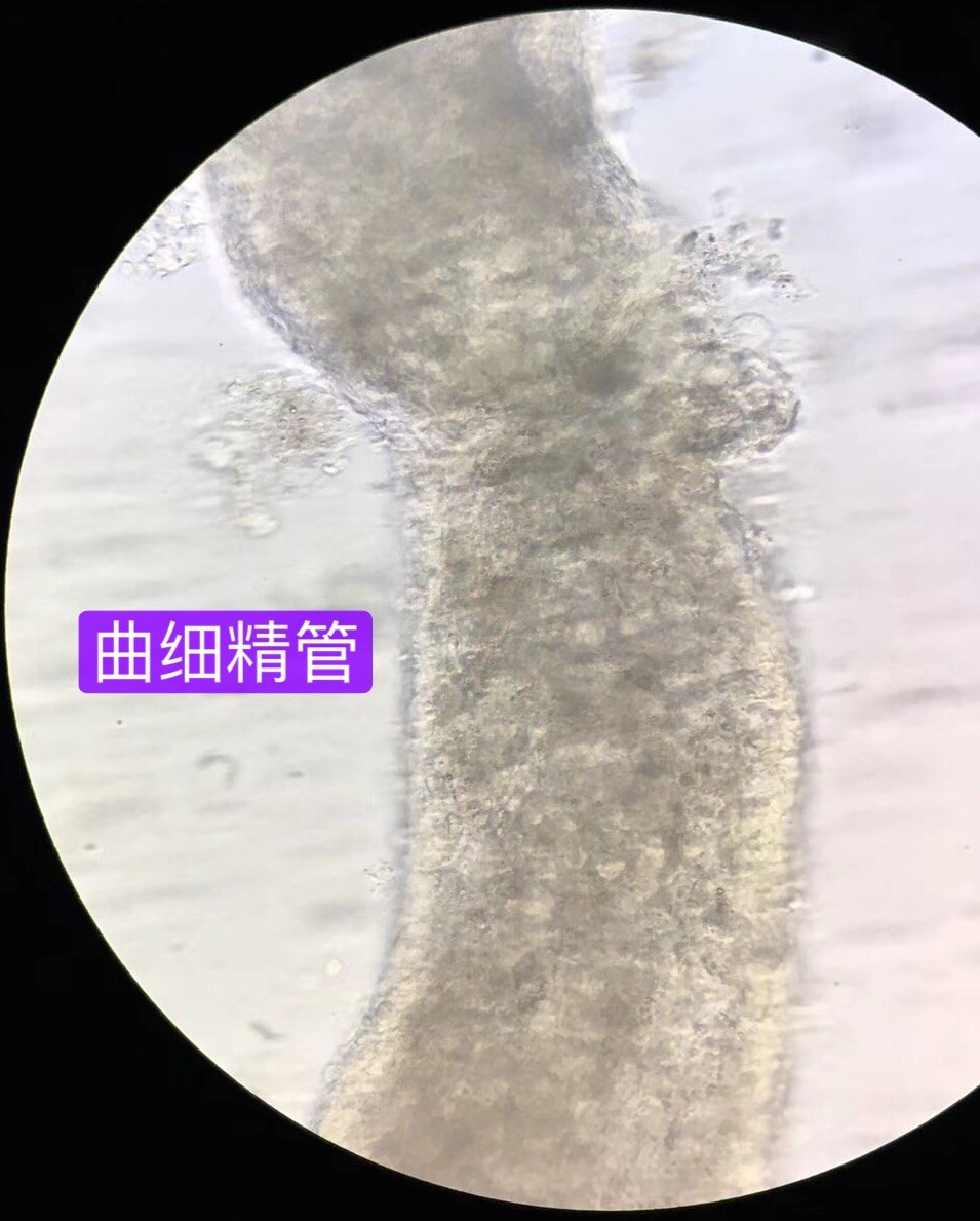 微信图片_20180803152418.jpg