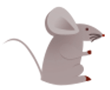 老鼠1