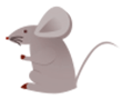 老鼠2
