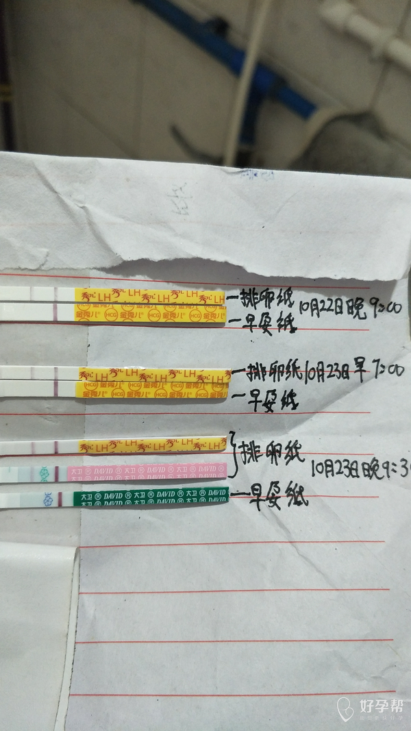 检测试纸结果多久时间内有效 gw-topic